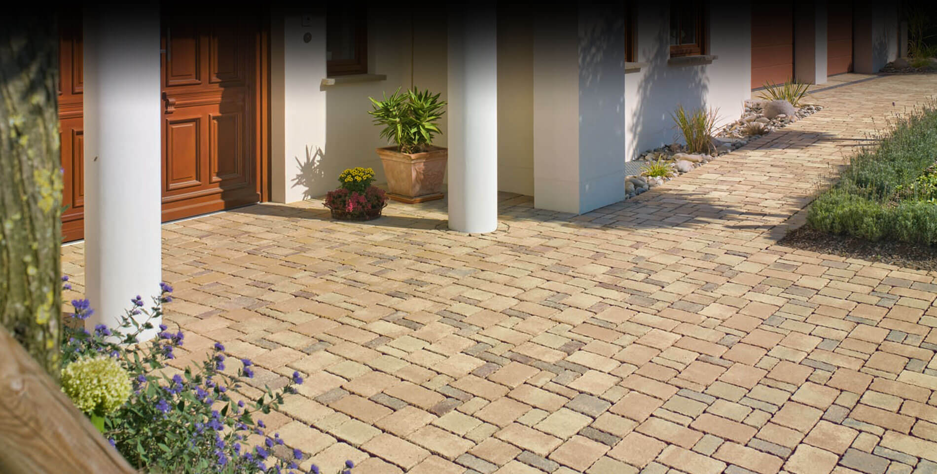 D88尊龙(中国区)官方网站