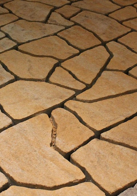 D88尊龙(中国区)官方网站