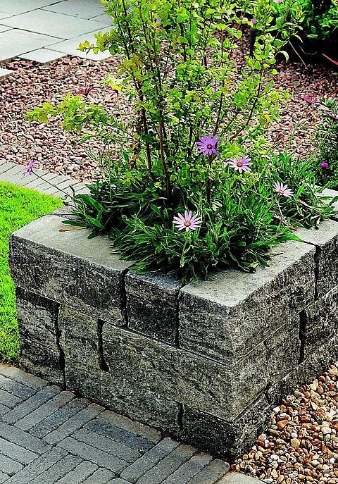 D88尊龙(中国区)官方网站